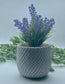 Calming Lavender in Rustic Pot