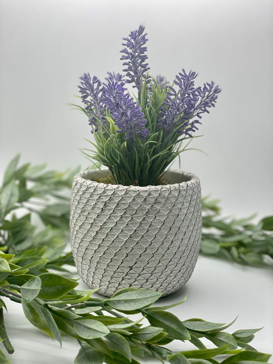 Calming Lavender in Rustic Pot