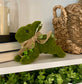 Green Mossy Leaping Bunny w/Burlap Bow