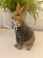 Dapper Bunny w/Harlequin Bow Tie and Distressed Jacket