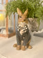 Dapper Bunny w/Harlequin Bow Tie and Distressed Jacket