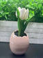 Real-Touch White Tulips in Iridescent Vase - Blush