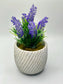 Calming Lavender in Rustic Pot