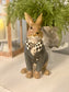 Dapper Bunny w/Harlequin Bow Tie and Distressed Jacket