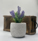 Calming Lavender in Rustic Pot