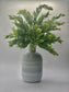 Spring Blue and White Ceramic Bud Vase